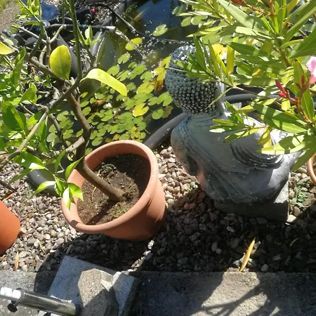 Familie Kunz 34385